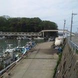 橋立漁港