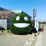 行田市総合公園