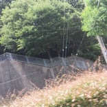 伊丹坂トンネル