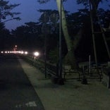 琴林公園