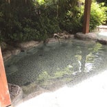 平山温泉 湯の蔵