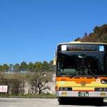 上三増 (神奈中バス)