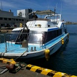 勝本町漁協 辰の島遊覧船