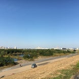 淀川河川敷