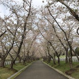 戸田記念墓地公園