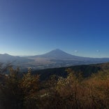 芦ノ湖スカイライン富士見台
