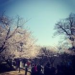 熊本城二の丸公園
