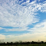 大森ふるさとの浜辺公園