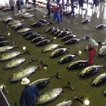 気仙沼市魚市場