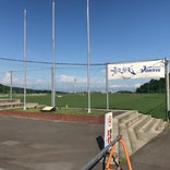 徳島スポーツビレッジ (TSV)