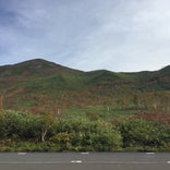 ニセコアンヌプリ山頂 (1,308m)