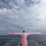 青海島めぐり観光遊覧船