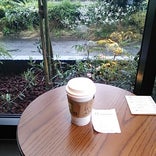 Starbucks Coffee 龍ケ崎店