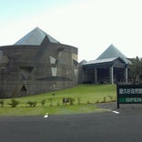 屋久杉自然館
