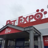 PET EXPO 西尾店