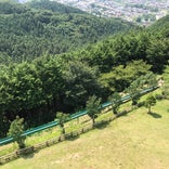 仙元山見晴らしの丘公園