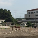 オリンピッククラブ 宝馬乗馬学校