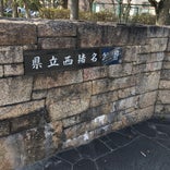 兵庫県立 西猪名公園