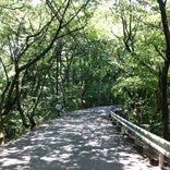 足羽山公園