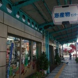 勝浦海産物センター