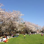 戸田記念墓地公園