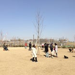 新横浜公園ドッグラン
