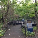 赤羽自然観察公園