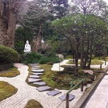 報国寺 竹の庭
