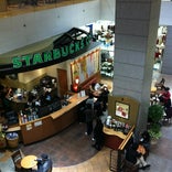 Starbucks Coffee 青葉台東急スクエア店
