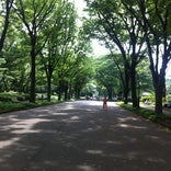駒沢オリンピック公園ジョギングコース