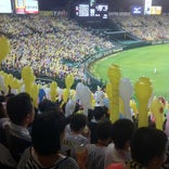 阪神甲子園球場 3塁アルプススタンド