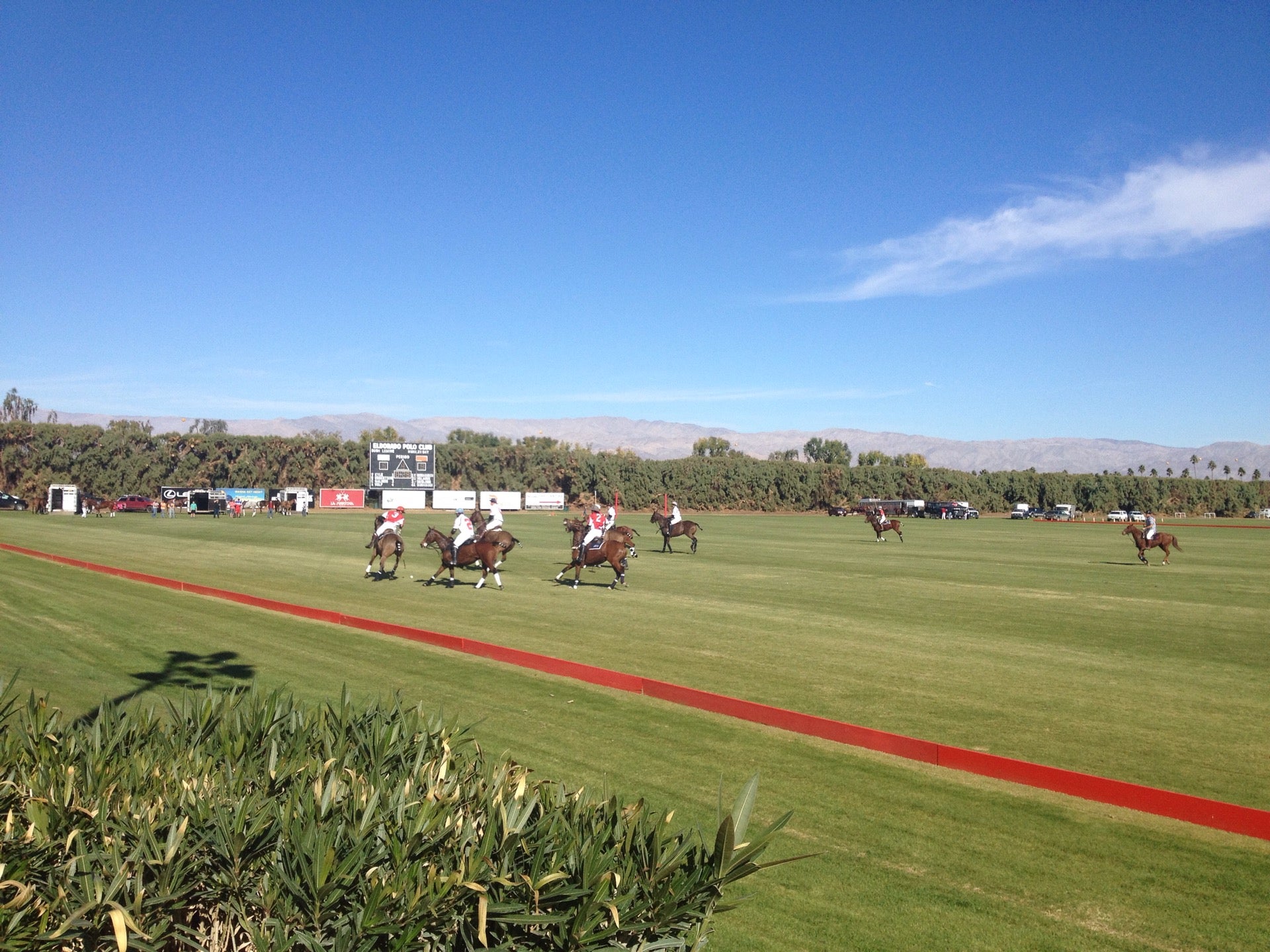 Polo club titan. Окружение гольф поло клуб.