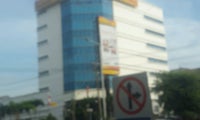 Bank Danamon Indonesia