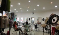 Kenzo Salon