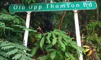 Old Upper Thomson Road