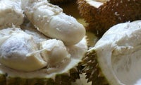 Durian Asli Medan Acin