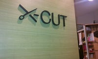 X Cut