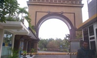 Universitas Narotama