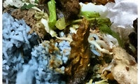 Nasi kerabu meletop AU