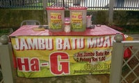 Jambu Batu Muar Ha G