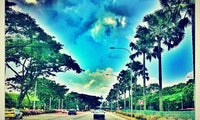 East Coast Parkway (ECP)