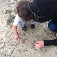 Monomoy National Wildlife Refuge - Nature Preserve in Chatham