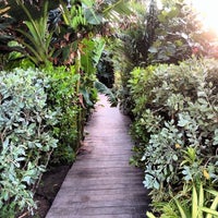 Tom Beach Hotel Saint Barthelemy - 5 tips