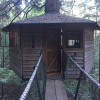 treehouse treesort