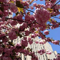 Photo taken at Columbus Park by Susan on 4/26/2013