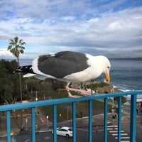 classic mini biker shorts