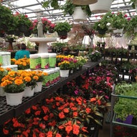 Johnson S Florist Garden Center Flower In Washington Photo Taken At Johnson 39 S Florist Amp Garden Center