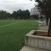 adidas soccer field adidas soccer field