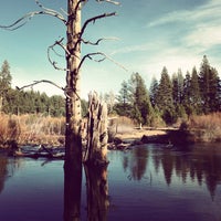 Photo taken at Donner Memorial SP Nature Trail by Dan C. on 12/9/2012