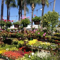 Walter Andersen Nursery Garden Center In Midway District Photo Taken At Walter Andersen Nursery By Arielle S On 8 11 2017